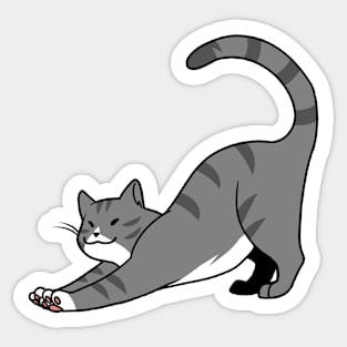 Grey Stripe w/ White Cat Stretch Sticker